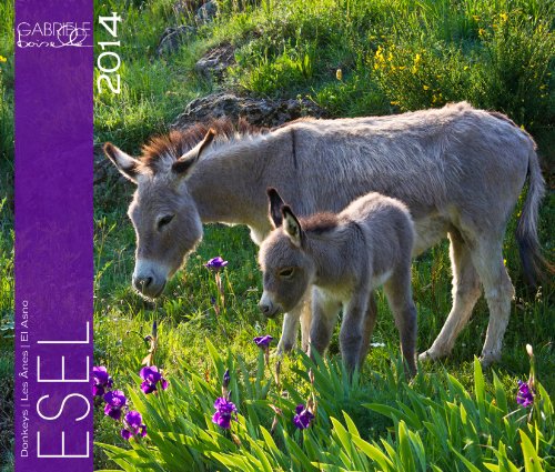 Esel 2014 Kalender - 46x39 cm