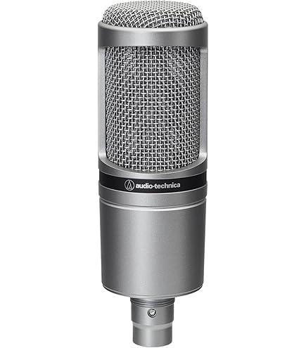 Audio-Technica AT4040 Cardioid Condenser Microphone : Amazon.se