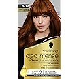 Schwarzkopf Oleo Intense Permanent Oil Colour 5-77 Light Copper Brown Hair Dye, 100% Grey Coverage, Conditioner with HaptIQ System, Long-Lasting Colour, Ammonia Free