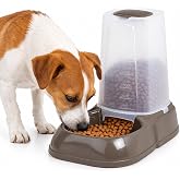 Arquivet Feed dispenser - Maya - Dogs Cats Pets - 1.5 g