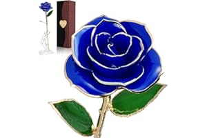 BESTYKS Rosa placcata oro 24K per lei, fatta di veri petali di rosa con supporto e scatola, fiore artificiale regalo per donna, fidanzata, mamma, San Valentino, giorno del Ringraziamento, compleanno (blu)