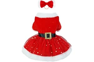 ISDULA Robe de Noël pour chien, costume de Noël pour animal de compagnie, chiot et chat de petite et moyenne taille, jupe en velours rouge pour chien, costume de Père Noël, manteau d'hiver mignon (taille XL)