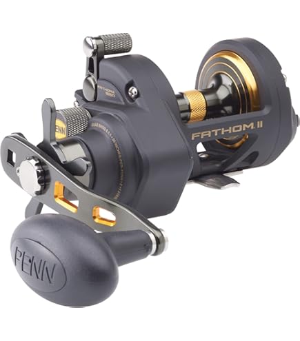 PENN SPECIAL SENATOR 114HLW 6/0 WIDE TROLLING FISHING REEL NEW IN THE - Foto 9