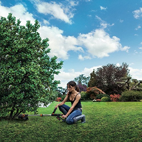 Worx Powershare 20V Li-Ion Akku-Rasentrimmer (1 Akku), WG163E, 1 Stück - 4