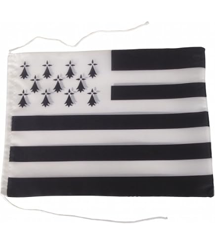Drapeau FC LORIENT vintage Bretagne Sud ultras merlus - Collection