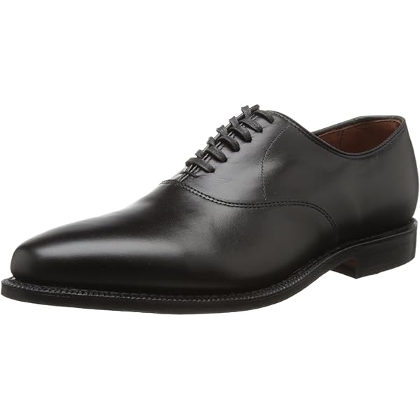 W/T/A/P/S 　allen edmonds Delray Allen Edmonds Men's Delray Oxford, chili : Amazon.de: Fashion