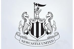 BEAUTIFUL GAME Newcastle United Football Club One Colour Crest Wall Sticker Set Official Merchandise - Car Decal Football Vinyl Poster Print (120cm, Black)