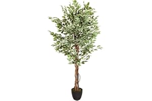 HJH Office Pianta Artificiale FICUS Benjamini Altezza 165 cm Verde/Bianco 1008 Foglie Deco Pianta d'appartamento Betulla Fico Artificiale, 871000