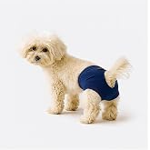 MPZ PETS Kedi ve K&ouml;pek Kıyafeti &amp; K&uuml;lodu Lacivert K&uuml;lot M