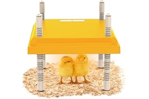 TOOTHBACE Plaque chauffante pour poussins - 25 x 25 cm - Avec réglage de la température - Avec hauteur réglable - Pour poussins et canards - Réchauffe jusqu'à 15 poussins (Jaune-Euro) (Jaune-Euro)
