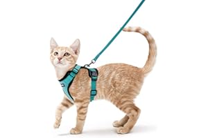 rabbitgoo Pettorina Gatto Antifuga con Guinzaglio, Guinzaglio per Gatti Regolabile, Pettorina Cane Taglia Piccola Riflettente, Imbracatura Gatto Adulto in Maglia Traspirante per Passeggiate, Verde, XS