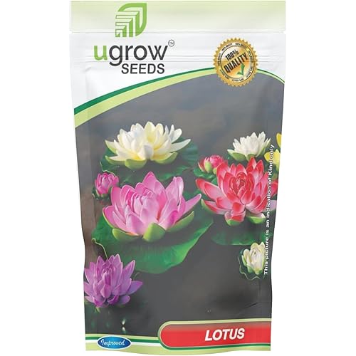 UGROW INDIA Kamal Gatta Seeds Water Lotus Flower Plant Seeds for Pooja Laxmi Havan Home Gardening Live Aquatic Plant for Pond Temple Use Makhana Seed Pack 15 Plus