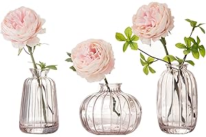 NWVUOP 3er-Set Kleine Vasen für Tischdeko Dekorativ Glasvasen Blumenvase Set Bud Vase Kaffee