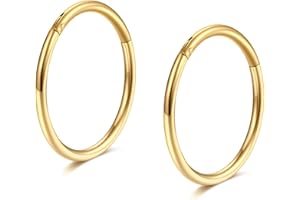 Lantine 16G 18G 20G Hinged Nose Rings Hoop for Women Men Stainless Steel Segment Clicker Cartilage Earrings Helix Lip Septum Ring Body Piercing Jewellery 6mm-10mm Black+Gold+Steel 3pcs/1pc