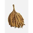 1Kg Natural Premium Yellow Millet Bird Seed Sprays