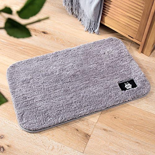 BATTAR - Funny Door Mat Non Slip Entrance Door Rug for Bedroom Living Room Bathroom Indoor Use,Thick plush mats,50*80cm,Lava ash