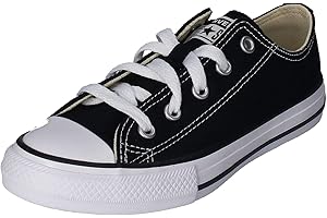 Converse Chuck Taylor All Star Classic M9166C, Basket