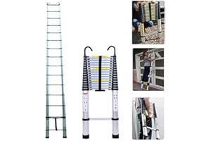 RIGOGO Scaletta Telescopica Alluminio con 2 Ganci, 15 Gradini, 6,2 m Scala Allungabile, Scala Portatile e Leggera, Forte e Stabile, Multiuso, Portata 150 kg, EN131, Argento