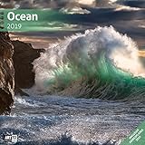 Ocean 2019, Wandkalender / Broschürenkalender im Hochformat (aufgeklappt 30x60 cm) - Geschenk-Kalender mit Monatskalendarium zum Eintragen by