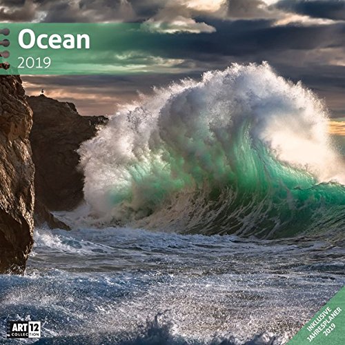Ocean 2019, Wandkalender / Broschürenkalender im Hochformat (aufgeklappt 30x60 cm) - Geschenk-Kalender mit Monatskalendarium zum Eintragen