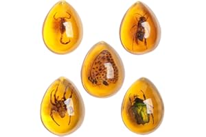 Acxico 5pcs Amber Fossil with Insects Samples Stones Crystal Specimens Home Decorations Collection Oval Pendant (Green Armor + Scorpion + Flower Butterfly + Wasp + Spider)