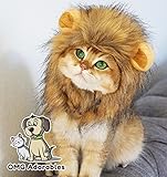 disfraz perro salchicha comprar [Mullido, diseño auténtico] Con la melena completa, espesa como un león de verdad, este jersey traje del león de gatos cuenta con colores tradicionales con aspecto robusto.