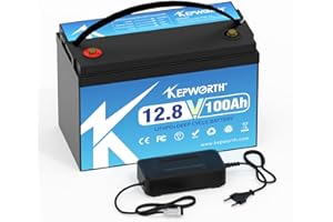 FLLYROWER LiFePO4 Akumulator 12 V 100ah z akumulatorem klasy A i BMS Deep Cycle 10000 + do łodzi solarnej RV Camping wózka golfowego i tak dalej