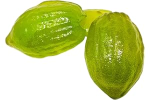 SKYVOV Ambrosio Cedro italiano a fette di cedro di frutta candita - vassoio di 900 grammi