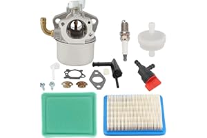 Harbot Carburateur 798653 pour intek 206 Briggs & Stratton 697354 790290 791077 698860 5.5HP 214731 110432 110492 110412 111432 1202 12 12 1202 120202 1202 34/40 FR Moteur 0212 121212 121232