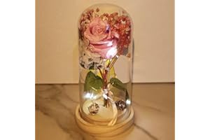 UNIQICON Rosa Eterna, La Bella e La Bestia Rose Incantate,Elegante Cupola di Vetro con Base Pino Luci LED, Romantico Kit di Rose, Regalo per Donne, Mamma, Fidanzata, Anniversario, Matrimonio, Coppia Amica