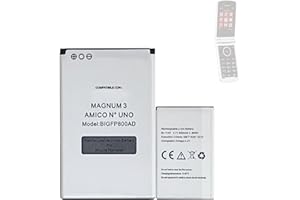 HIGHAKKU Batteria di ricambio BIGFP800AD compatibile con BRONDI Magnum 3 Amico N3 BRONDI Amico N.1 AMICO N UNOBL-11AT