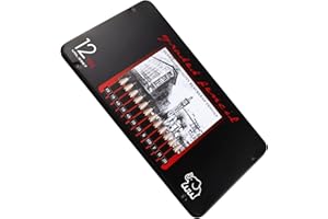 SZCXDKJ Lot de 12 crayons pour dessin 8B, 7B, 6B, 5B, 4B, 3B, 2B, B, HB, F, H, 2H, crayons à croquis avec mine graphite