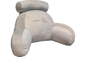 HSEECR Reading Pillow with Arms for Bed - Reading Cushion for Bed Back Support with Support Arm Detachable Backrest Pillow Washable Support Rest Pillow for Reading Relaxing Watching TV (B)