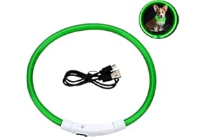 SATHYCHANPY Collier Lumineux Chien Collier LED pour Animaux Rechargeable USB LED Clignotant Collier de Sécurité avec Ceinture Réglable pour Petits/Moyens Chiens(Vert)