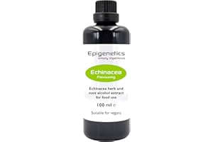 EPIGENETICS Echinacea Herb & Root Extract 100ml | Steeped Echinacea Purpurea + Purifed Water | UV Protected Miron Glass + Dropper Lid | UK Made Vegan Friendly Liquid