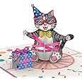 papercrush® Popup Birthday Card Cat – Funny 3D Cat Birthday Card for Women (Mom, Wife, Sis), Special Congratulations Gift Card with Cat Motif for Niece, Auntie and Grandson, Gift Voucher for Cat Lover