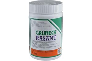 Kluthe Grüneck Rasant Abbeizer 1 kg