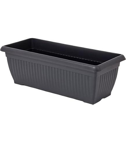 Terra Roma Pflanzkasten Mit Sichtfenster Von HC Companies | 60 Cm, Kunststoff, Für Drinnen & Draußen