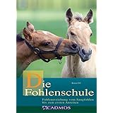 Sanfte Fohlenausbildung Schritt Fur Schritt Zum Gelassenen Freizeitpartner Ebook Sperling Caroline Amazon De Kindle Shop Sanfte Fohlenausbildung Schritt Fur Schritt Zum Gelassenen Freizeitpartner Ebook Sperling Caroline Amazon De Kindle Shop