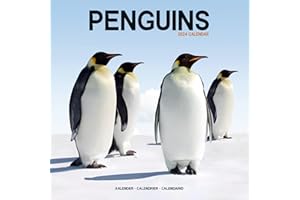 Penguins - Pinguine 2024 - 16-Monatskalender: Original Avonside-Kalender [Mehrsprachig] [Kalender] (Wall-Kalender)