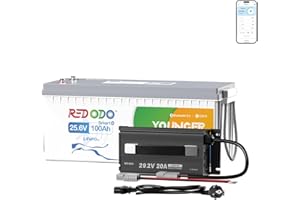 Redodo 24V 100Ah Batteria LiFePO4+24V 20A Caricatore Monitoraggio Intelligente Bluetooth Protezione a Bassa Temperatura Per Campeggio RV Immagazzinamento Solare Navigazione