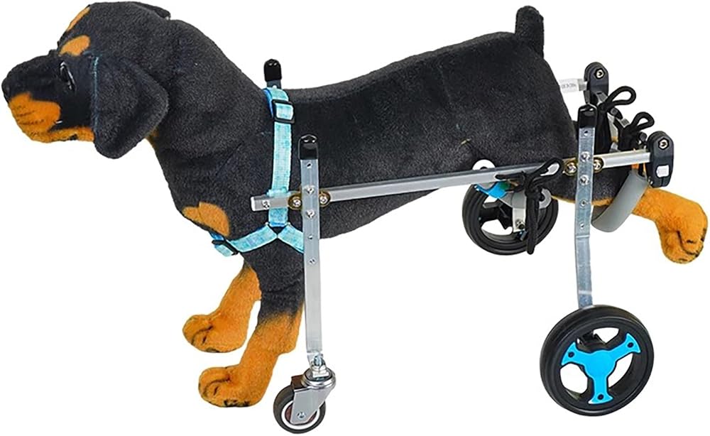 Köpek Arabası Tekerlekli Sandalye, 4 Tekerlek Tam Destek Köpek Arabası Arka Bacaklar için Tekerlekli Sandalye, Ayarlanabilir Hareketlilik Köpek Arabası Bacak Brace için, Engelli Hayvan Rehabilitasyon