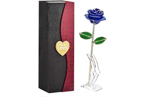 BESTYKS Ewige Rose,Eternal Rose,Die Schöne und das Biest,Rote Galaxie Rose Geschenke für Freundin Frau am Muttertag Geburtstag Valentinstag Jahrestag