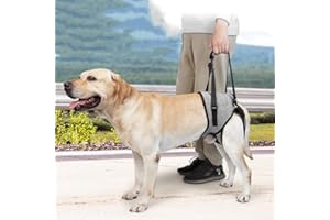 GOVNPJ Arnés de Levantamiento de Perros, arnés de elevación,arnés de Apoyo para Patas traseras, Correa de Apoyo Suave para Perros lesionados discapacitados, pequeños, medianos y Grandes (L, Gris)