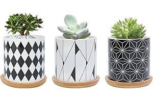 Warmplus 7.5CM Succulent Plant Pot, Ceramic Geometric Pattern Cactus Plants Pot, Small Plant Pots for Indoor Outdoor Plants with Bamboo Tray, and Great for Home Office Decor, Set of 3