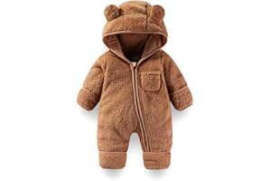 Fairy Baby Baby Snowsuit, Newborn Baby Bear Hooded Footed Romper Fleece Snowsuit Cartoon Flannel Zipper Jumpsuit Fall Winter Outfits