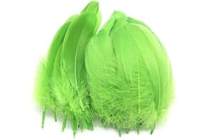 Suneast 100 Stücke Federn Dekoration Natürliche Gänsefedern Weiche Crafts Feather Indianer Federn für Traumfänger Basteln, Kostüme Hüte Schmuck Deko, DIY Ohrring - Grün, 15-20cm