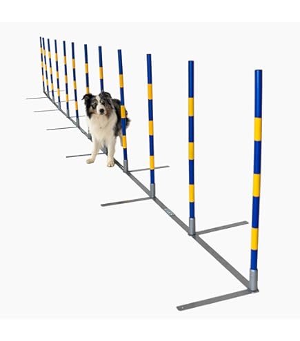 Agility Hürde - Die 15 besten Produkte im Vergleich