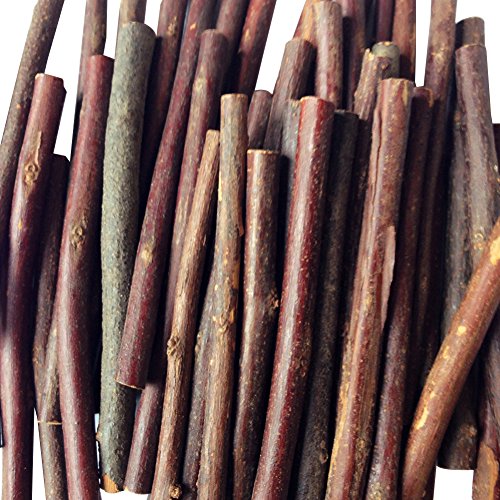 gabbrein 100 Stück Holz Sticks Pet Snacks Kauspielzeug für Meerschweinchen Chinchilla Eichhörnchen Kaninchen Parrot & DIY Holz Log Sticks für Crafts Foto Requisiten Dekoration L