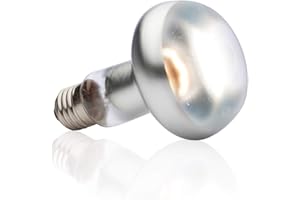 EXO TERRA Exoterra Éclairage pour Reptiles Lampe Intense Baskingspot 100 W